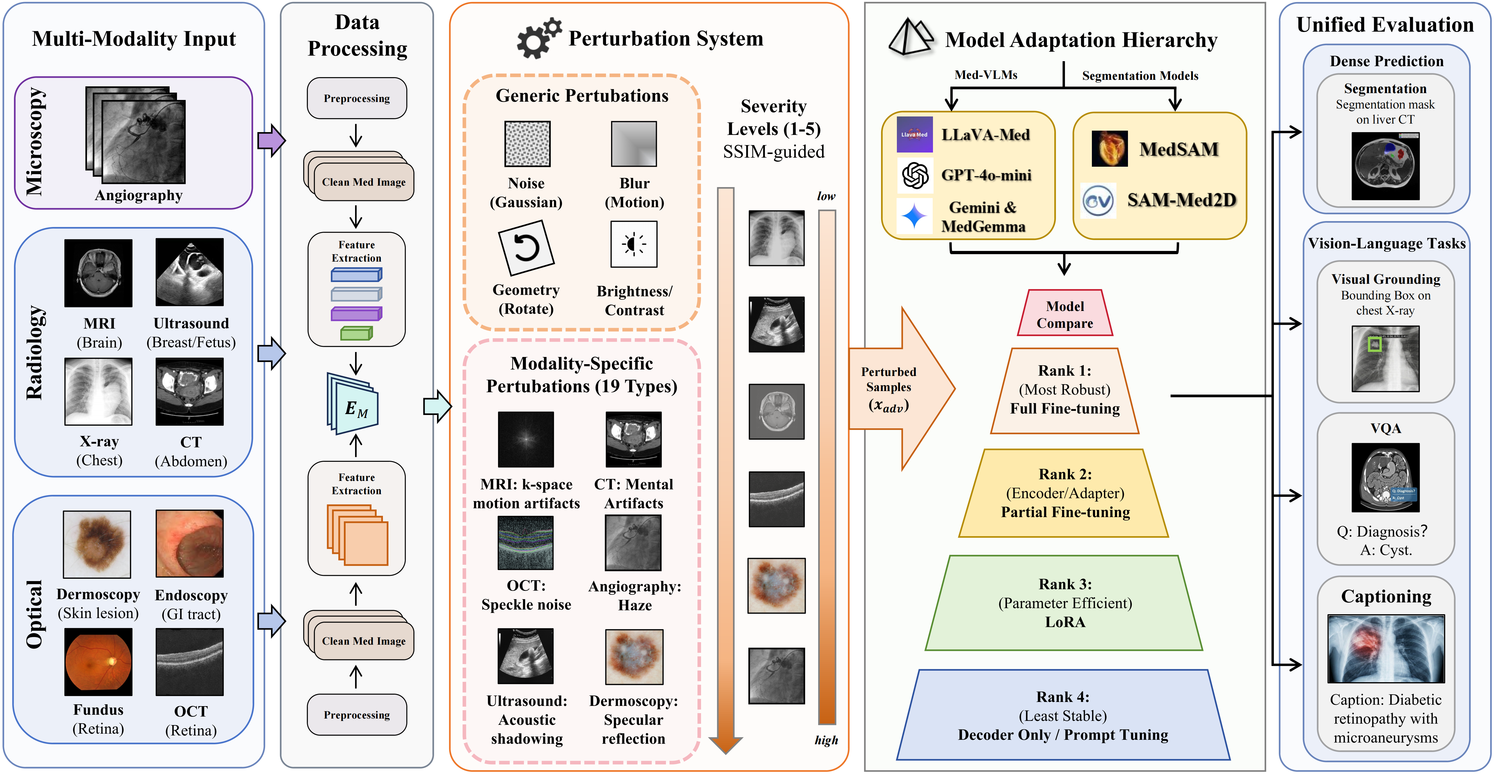 MedFM-Robust Framework
